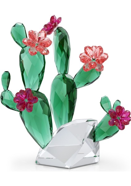 5426805 Swarovski Ev Dekorasyonu Crystal Flowers:desert Pink Cactus