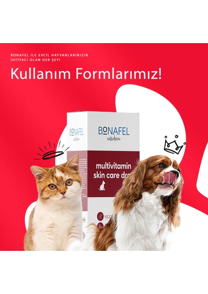 Kedi ve Köpekler için  Katkılı Alaska Somon Yağı 150 ml