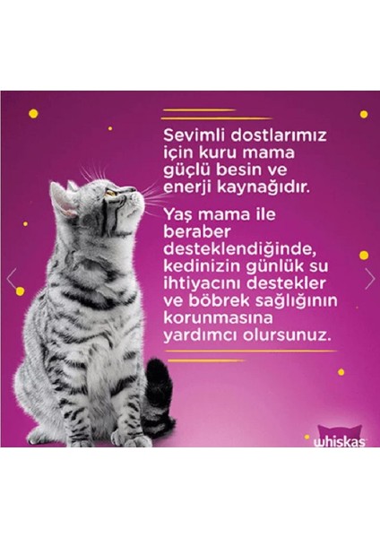 Pouch Sos Içinde Sığır Etli Yetişkin Kedi Konservesi 85 gr