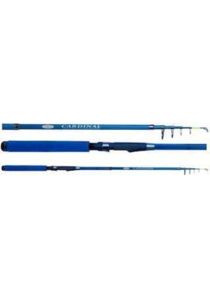 Cardınal 210 cm Tele Spin Mavi Kapalı Boy 50 cm 40-80GR