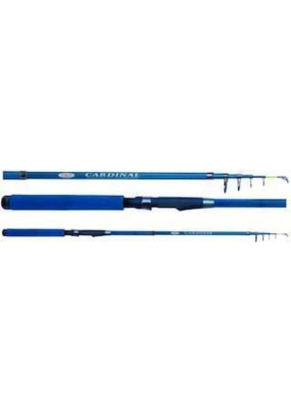 Cardınal 210 cm Tele Spin Mavi Kapalı Boy 50 cm 40-80GR