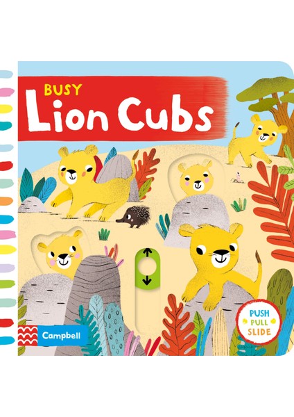 Busy Lion Cubs (Push Pull Slide)