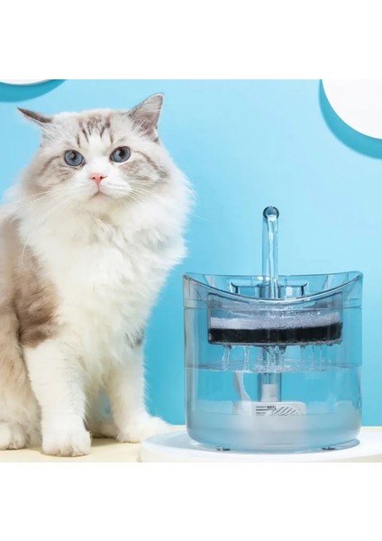 Hareket Sensörlü Kedi Köpek Için Sessiz Şeffaf Otomatik Su Pınarı Su Çeşmesi Su Sebili