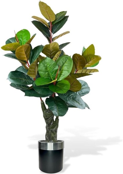 Yapay Ağaç Kauçuk Ağacı Metal Gümüş Kemerli Saksıda Ficus Elastica Salon Çiçeği 150*90 61 Yaprak