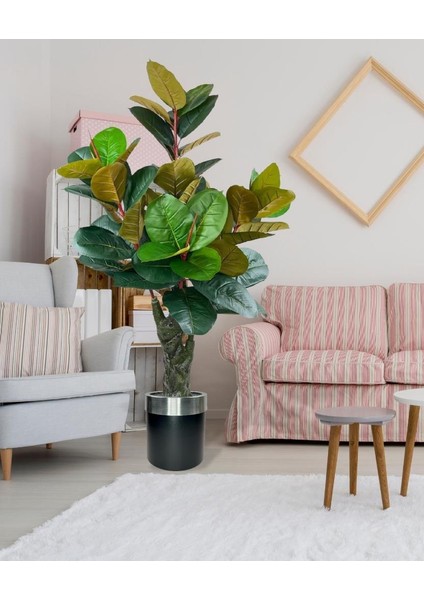 Yapay Ağaç Kauçuk Ağacı Metal Gümüş Kemerli Saksıda Ficus Elastica Salon Çiçeği 150*90 61 Yaprak