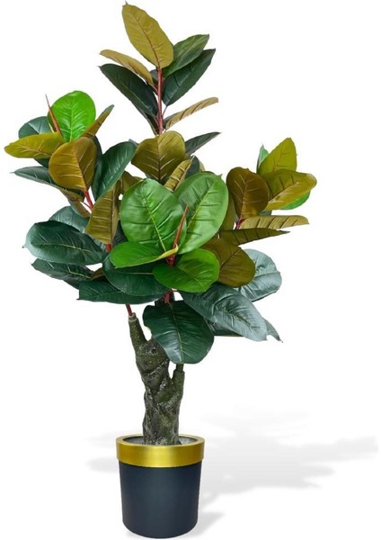 Yapay Ağaç Kauçuk Ağacı Metal Gold Kemerli Saksıda Ficus Elastica Salon Çiçeği 150*90 61 Yaprak