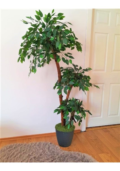Yapay Benjamin Ağacı 1.70 mt Boy 3 Gövdeli Islak Doku Yeşil Ağaç Ficus Benjamia