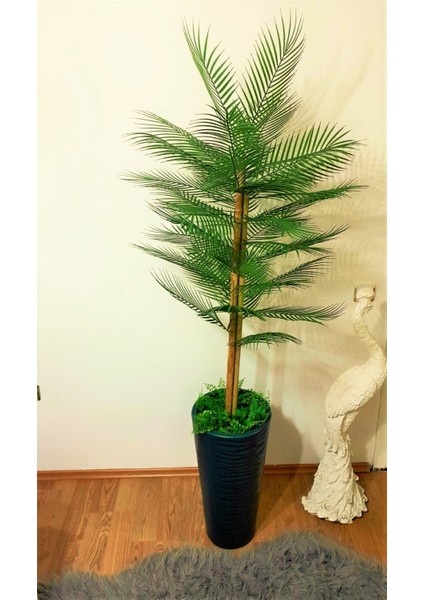 Yapay Areka Ağacı Areka Palmiyesi 1.65 mt Boy Bambu Çubuk Gövdeli Kumsal Antrasit Saksı