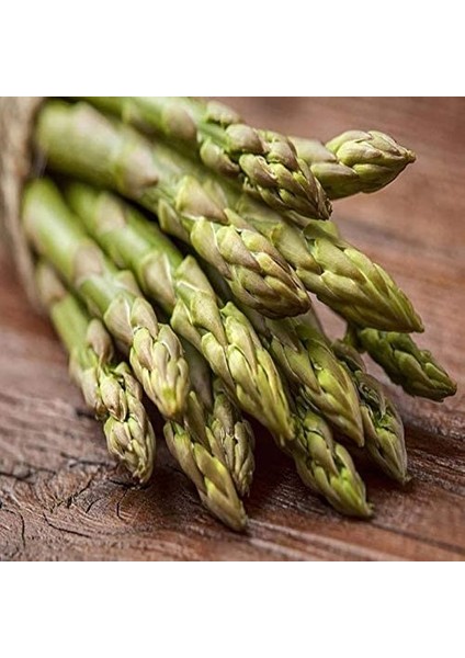 Kuşkonmaz Asparagus Tohumu