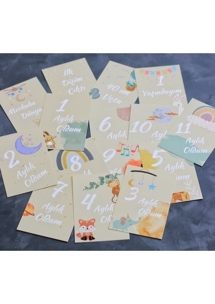 15'li Bebek Anı Kartı Seti