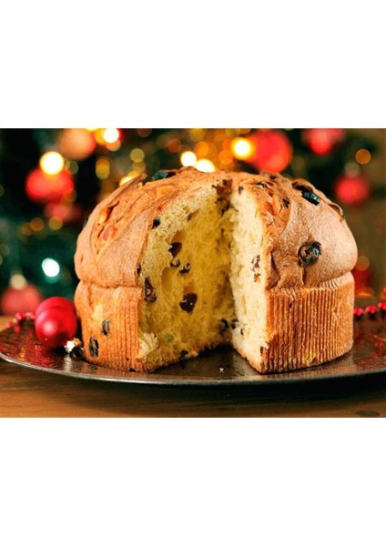 Panettone Kalıbı 5'li Çap:24,5 H:8 fiyatları