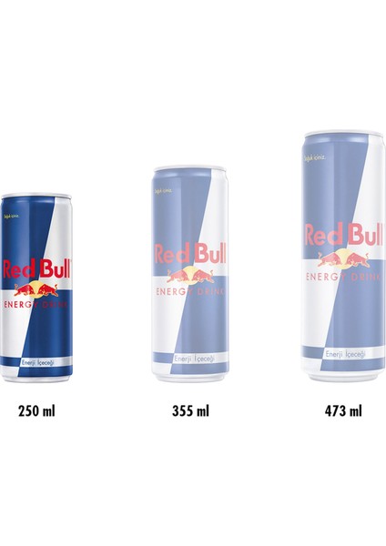 Enerji Içeceği 250 ml