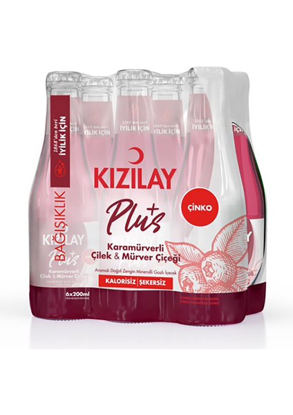 Plus Karamürverli Çilek 6X200 ml
