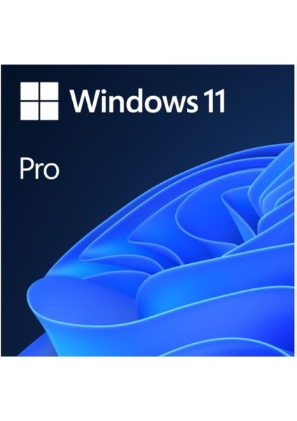 Windows 11 Pro Türkçe Oem (64 Bit) FQC-10556