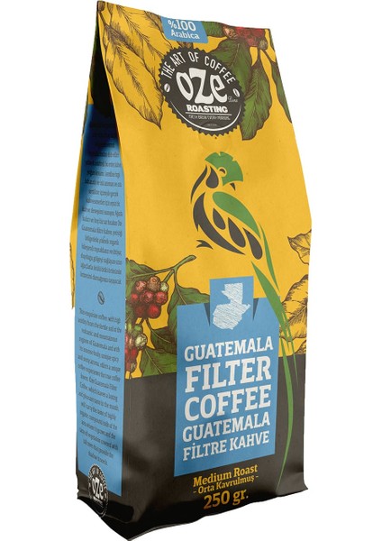 Guatemala Filtre Kahve 2'li 250G modelleri