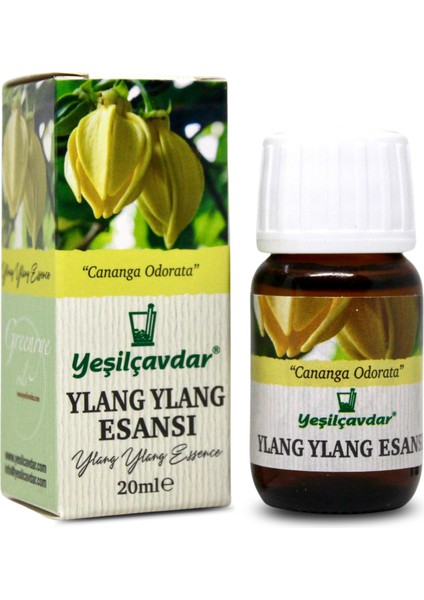 Ylang Ylang Esansı 20ML