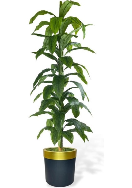 Yapay Ağaç Yukka Dracena 180*70CM Galvaniz Gold Kemerli Siyah Saksıda Salon Çiçeği Yapay Çiçek