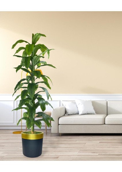 Yapay Ağaç Yukka Dracena 180*70CM Galvaniz Gold Kemerli Siyah Saksıda Salon Çiçeği Yapay Çiçek