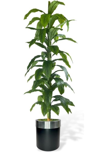 Yapay Ağaç Yukka Dracena 180*70CM Galvaniz Gümüş Kemerli Siyah Saksıda Salon Çiçeği Yapay Çiçek