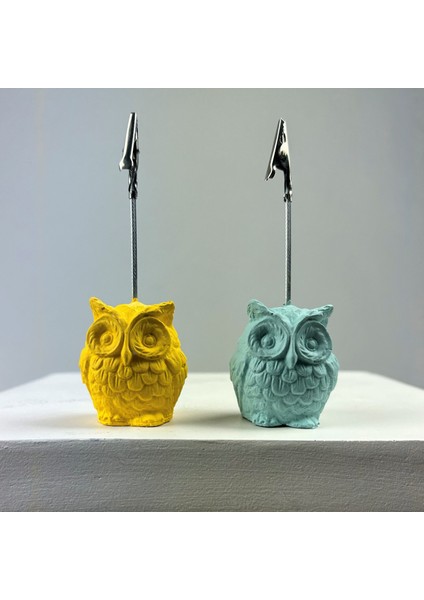 Baykuş Not Tutucu 2'li Set (Sarı- Nane)