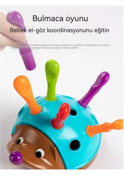Bulmaca Kirpi Bebek Konsantrasyon Eğitimi Erken Eğitim Oyuncak 1-3 Yaş Çocuklar El-Göz Koordinasyon Küçük Kirpi (Yurt Dışından)