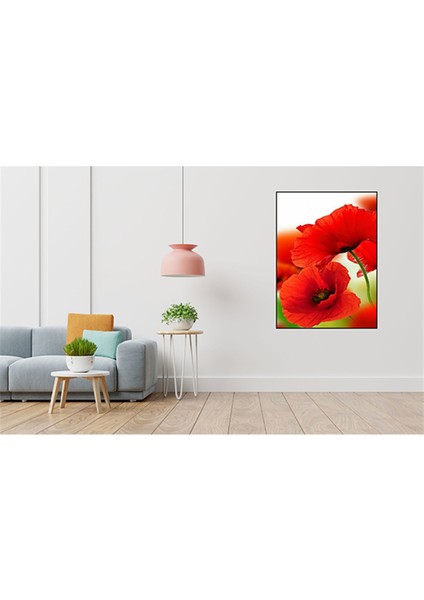 Bir Cift Kirmizi Gelincik 46 x 76 Elmas Mozaik Tablo