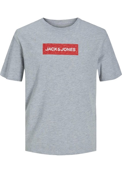 12229758 0 Yaka Erkek Tshirt - Gri