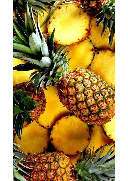 Ananas 30 x 51 Elmas Mozaik Tablo