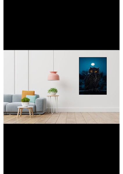 Karanlik Ve Baykus 40 x 60ELMAS Mozaik Tablo