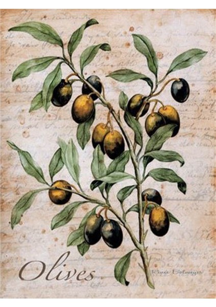 Zeytin Dali 46 x 56 Elmas Mozaik Tablo