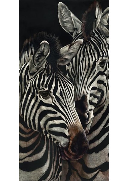 Bir Cift Zebra 40 x 60 Elmas Mozaik Tablo