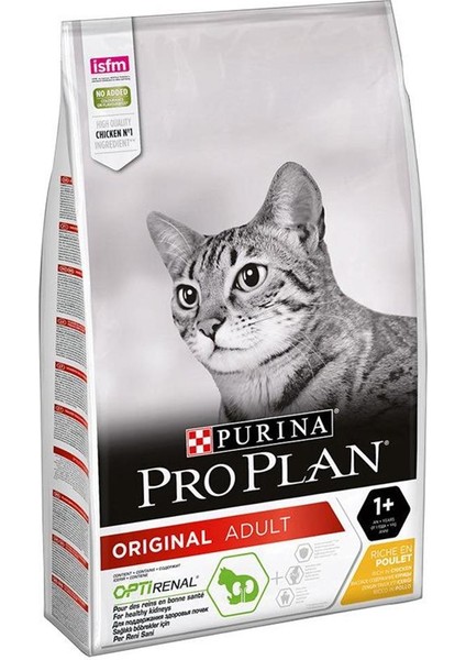 Proplan Adult Cat Tavuklu Kedi 10 kg Kedi Proplan Tavuklu Yetişkin Kedi Maması