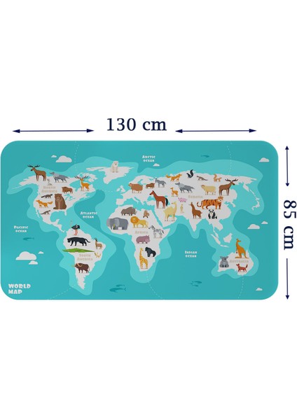 Eğitici Dünya Haritası Dünya Atlası Çocuk ve Bebek Odası Duvar Sticker 3785XL