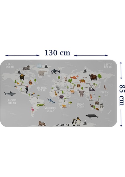 Eğitici Dünya Haritası Dünya Atlası Çocuk ve Bebek Odası Duvar Sticker 3790XL