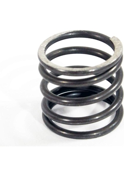 Honda CBR 250 R Yağ Filtre Yayı