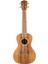 Acst-C Acacia Concert Ukulele 1