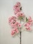 Rüzgar Çiçekcilik 80 cm Pembe Bahardalı 1
