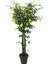 Yapay Limon Ağacı 170 cm 1