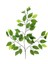 Yapay Ficus Benjamin Ağaç Dalı Parlak 1