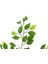 Yapay Ficus Benjamin Ağaç Dalı Parlak 2