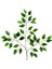 Yapay Ficus Benjamin Starlight Dalı Alacalı 2 Adet 1