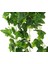 Yapay Hedera Yapraklı Sarmaşık 2