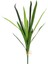 Yapay Dracena Demeti Büyük 1