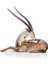 5557856 Swarovski Ev Dekorasyonu Afr?can Sunset:gazelle Look?ng R?ght 1