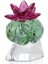 5426978 Swarovski Ev Dekorasyonu Crystal Flowers:bordeaux Cactus 1