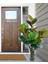 Yapay Ağaç Kauçuk Ağacı Ficus Elastica Salon Çiçeği 150*90 Doğal Gövdeli 61 Yaprak 5