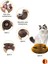 Kedi Tırmalama Oyuncağı / Sihirli Kedi Oyuncağı / Çıngıraklı Tırmalama Panosu 3