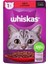 Pouch Sos Içinde Sığır Etli Yetişkin Kedi Konservesi 85 gr 1