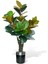 Yapay Ağaç Kauçuk Ağacı Metal Gümüş Kemerli Saksıda Ficus Elastica Salon Çiçeği 150*90 61 Yaprak 1