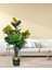 Yapay Ağaç Kauçuk Ağacı Metal Gold Kemerli Saksıda Ficus Elastica Salon Çiçeği 150*90 61 Yaprak 3